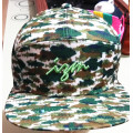 100% Cotton Printing and Embroidery Fashion Sports Baseball Cap